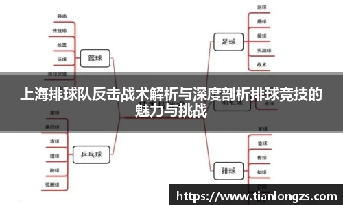 上海排球队反击战术解析与深度剖析排球竞技的魅力与挑战