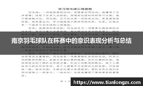 南京羽毛球队在杯赛中的意识表现分析与总结